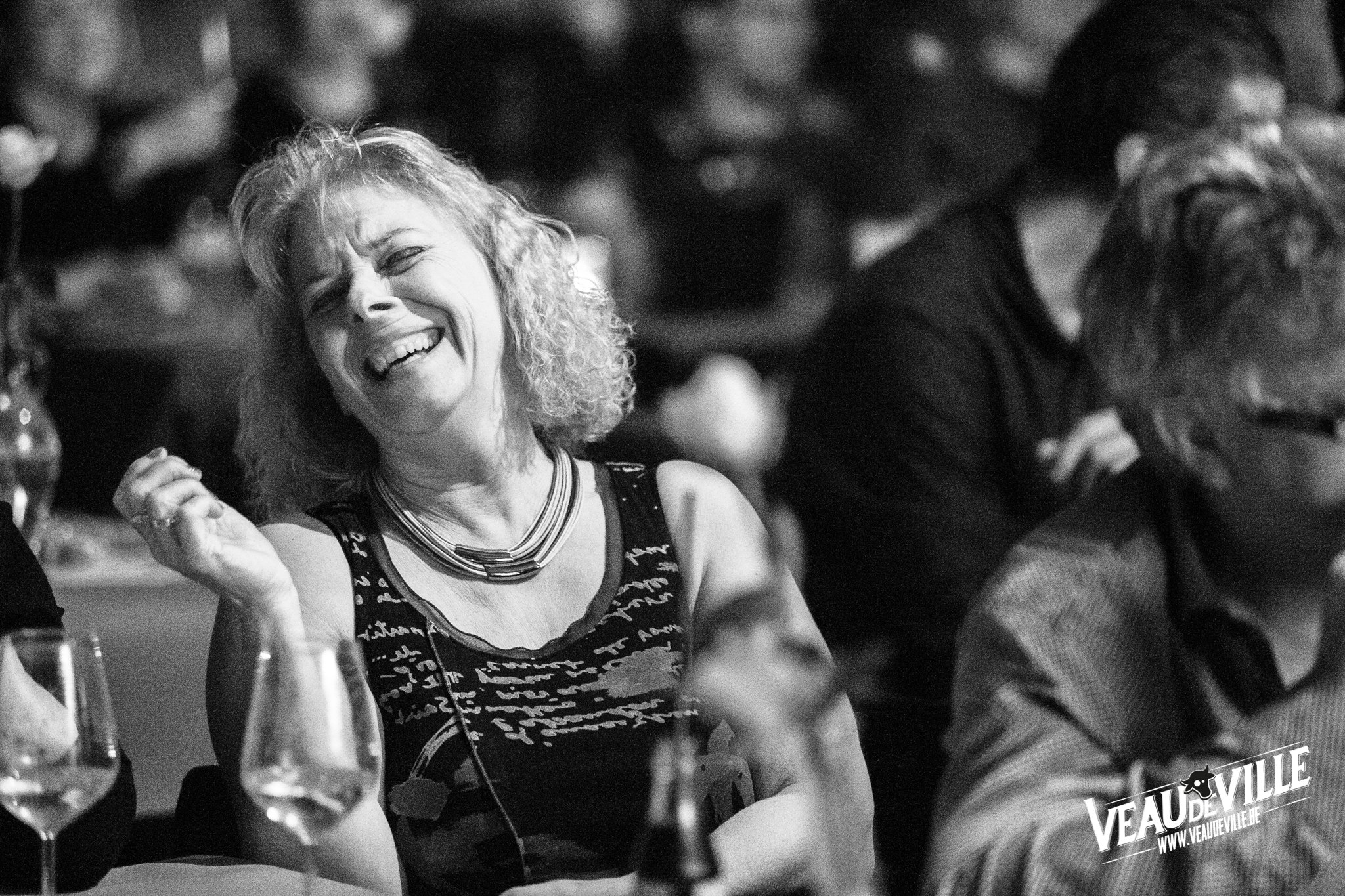 circus veaudeville vorige editie