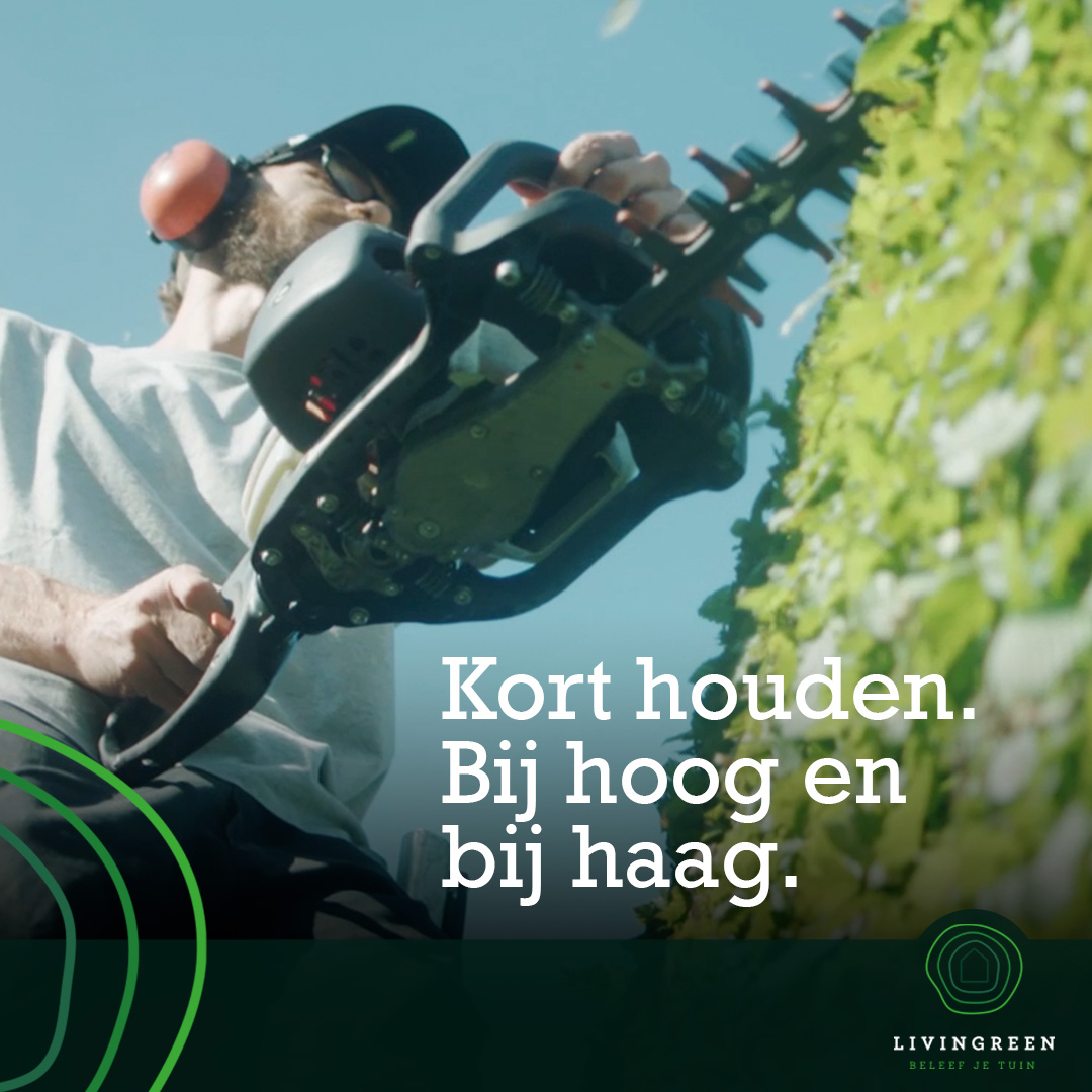 Livingreen Promotievideo | Veaudeville Marketing